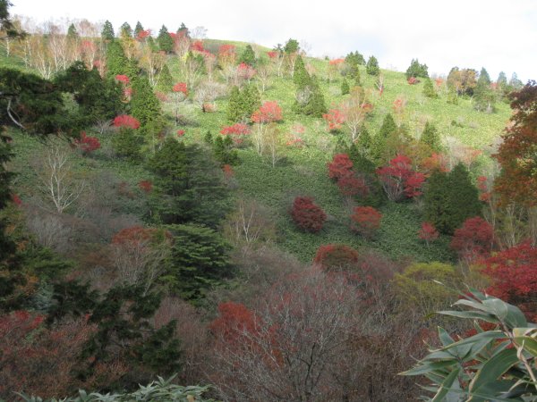 登山道